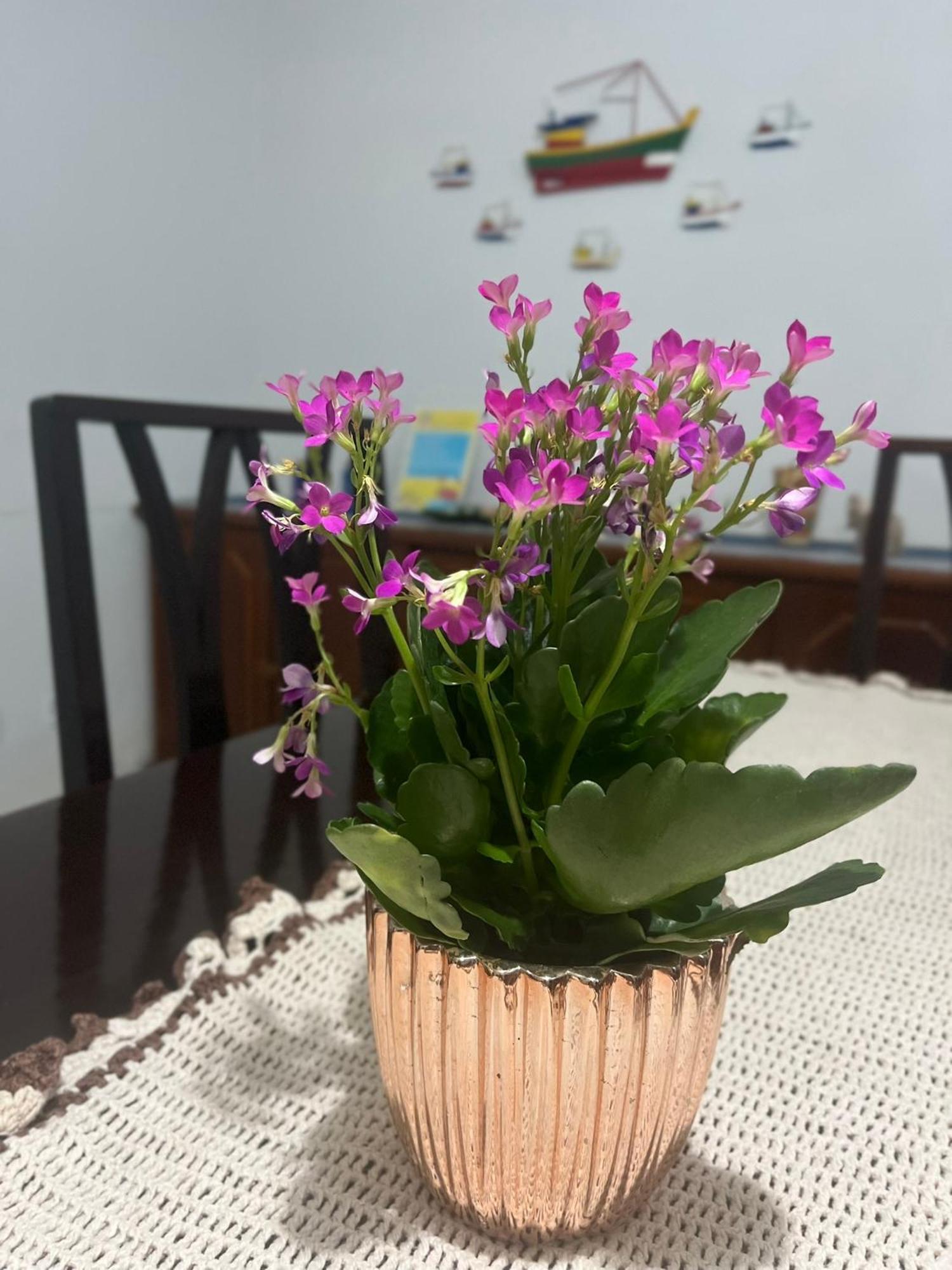 Casa De Praia Caraguatatuba Massaguacu エクステリア 写真